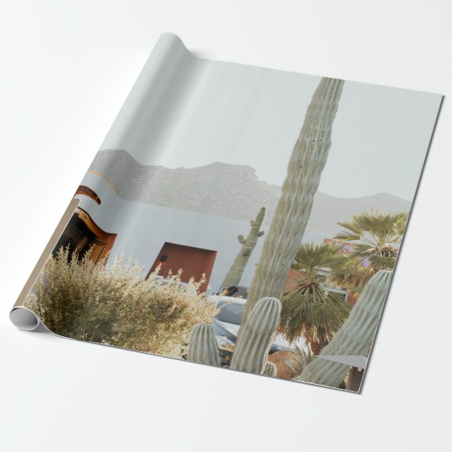 Papier Cadeau Cactus vert à côté des maisons le matin (Déroulé)