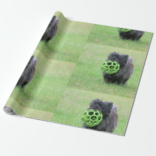 Papier Cadeau Cairn terrier