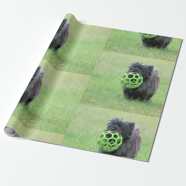 Papier Cadeau Cairn terrier (Déroulé)