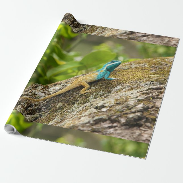 Papier Cadeau Calotes de Lizard Bleu Mystaceus (Déroulé)