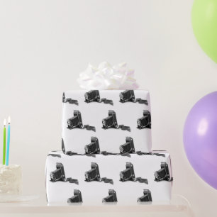 Papier Cadeau Caméra Bellows Avec Film