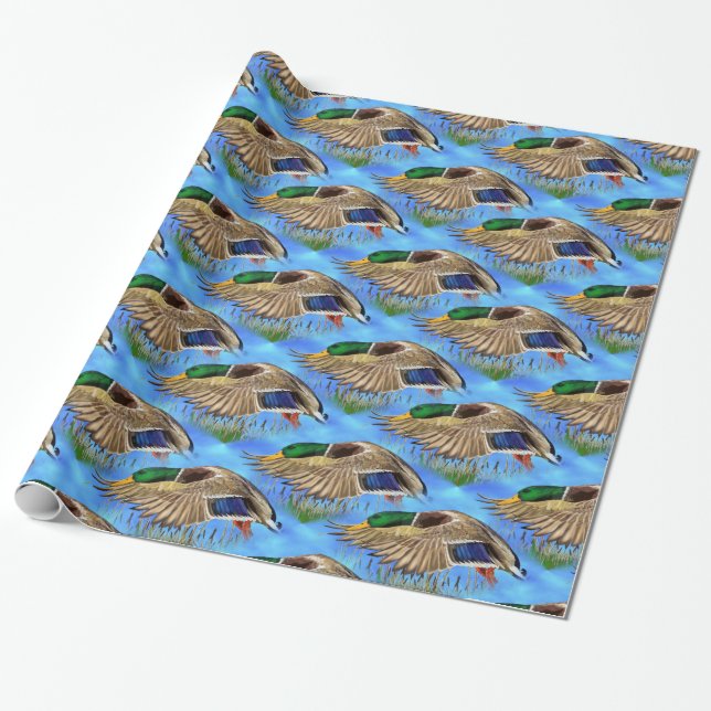 Papier Cadeau Canard colvert (Déroulé)