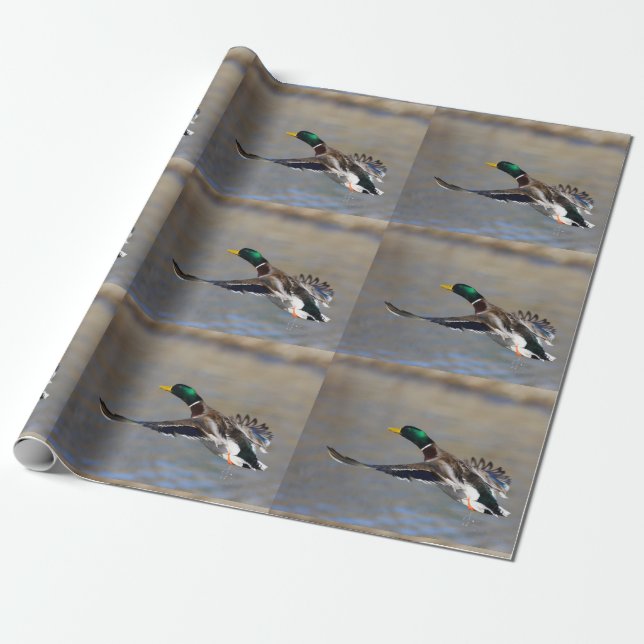Papier Cadeau canard en vol (Déroulé)