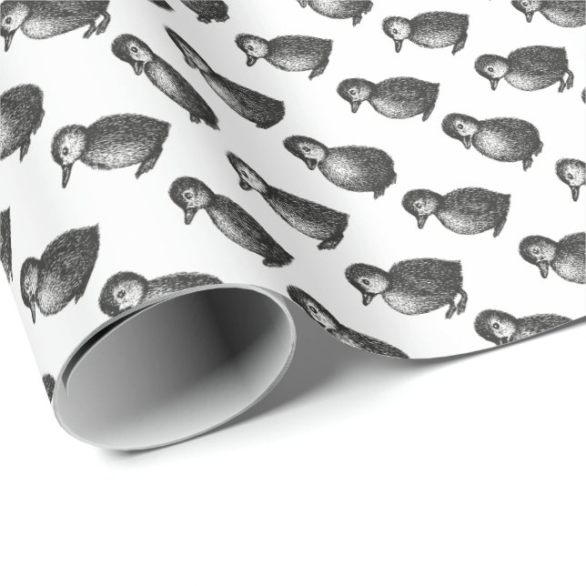 Papier Cadeau Canards (Coin rond)
