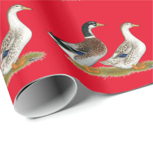 Papier Cadeau Canards : Joyeuse Argent