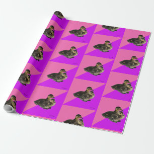 Papier Cadeau Canetons sur framboise rose et sorbet violet
