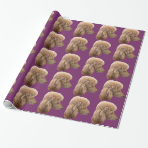 PAPIER CADEAU CANICHE ROUGE STANDARD