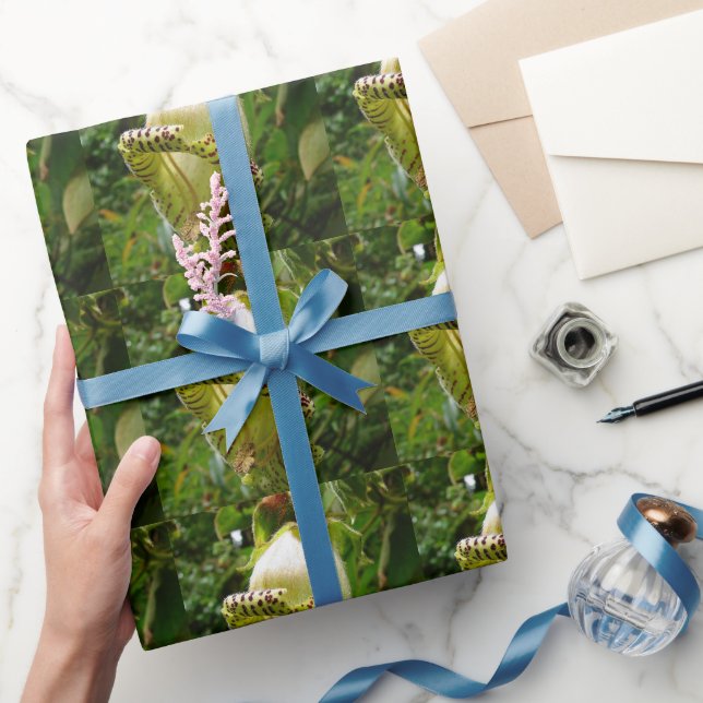 Papier Cadeau Capanea Grandiflora (Cadeaux)