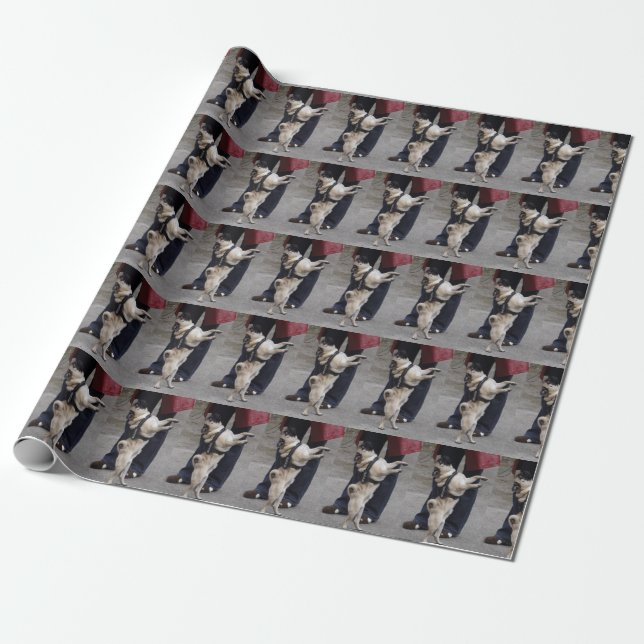 Papier Cadeau Carlin hors contrôle (Déroulé)