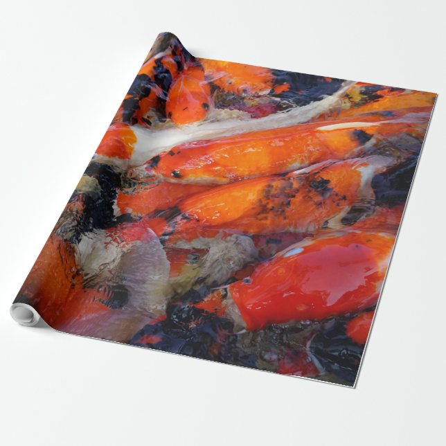 Papier Cadeau Carpe koï (Déroulé)
