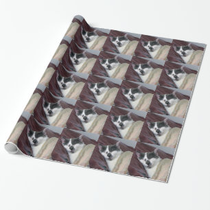 Papier Cadeau Cat Napping