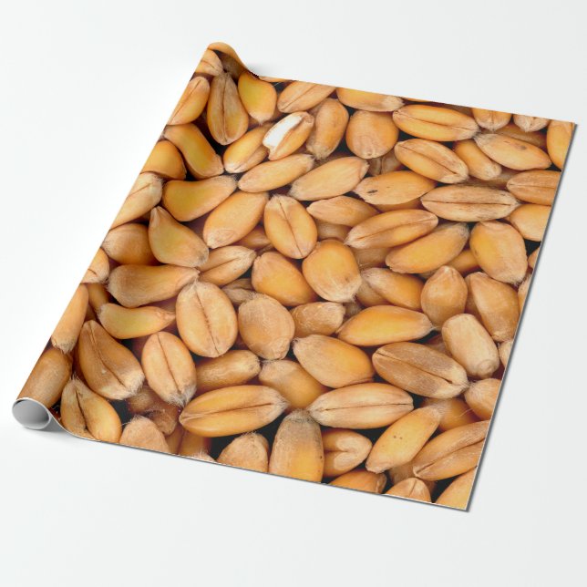 Papier Cadeau céréales de blé (Déroulé)