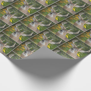 Papier Cadeau cerf à gros seins dans les bois