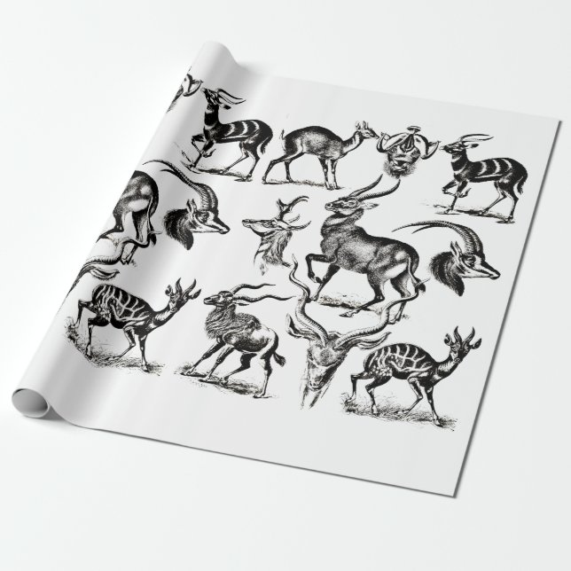 Papier Cadeau Cerf Buck Antilope Animaux Illustrations faune (Déroulé)