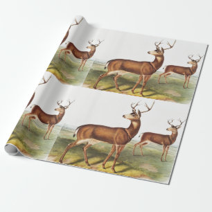 Papier Cadeau Cerf de Virginie (Cervus Richardsonii)