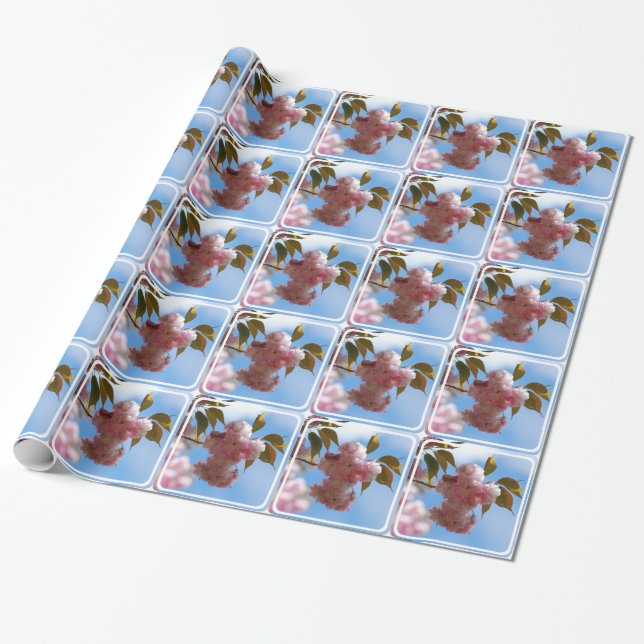 Papier Cadeau Cerisier fleurissant rose (Déroulé)