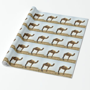 Papier Cadeau Chameau
