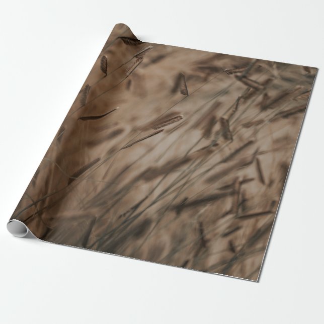 PAPIER CADEAU CHAMP BLÉ (Déroulé)