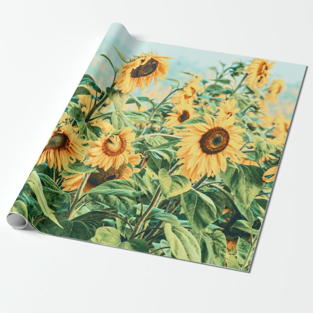 Papier Cadeau Champ de tournesol Découpage Turquoise jaune Art f (Déroulé)