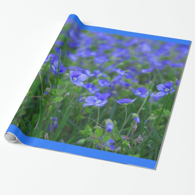 Papier Cadeau Champ des myosotis des marais (Déroulé)