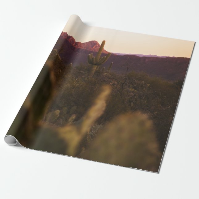 PAPIER CADEAU CHAMP GREEN GRASS (Déroulé)