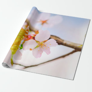 Papier Cadeau Charming Charming Sakura Flower Et Feuilles Au Pri