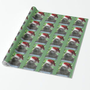 Papier Cadeau Chat aux cheveux longs bleu russe de Noël