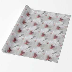 Papier Cadeau Chat blanc, quarantième anniversaire, enveloppe d