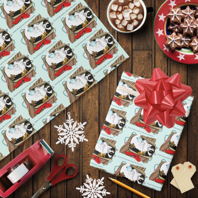 Papier Cadeau Chat boîte à jouets de Noël (Créateur téléchargé)