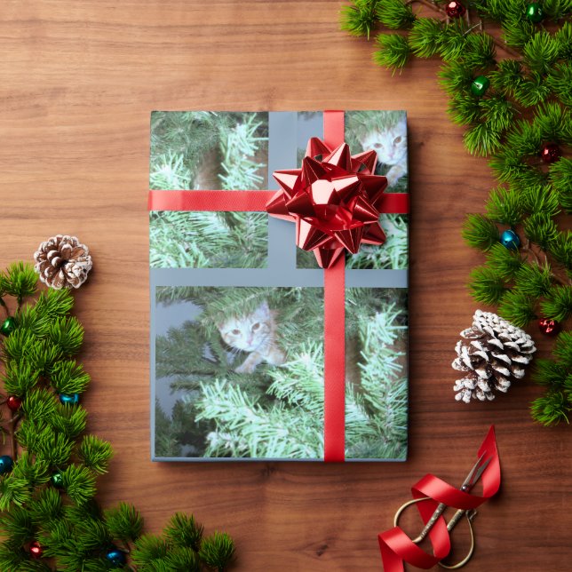 Papier Cadeau Chat Dans Le Papier D'Emballage De L'Arbre (Cadeau de vacances)