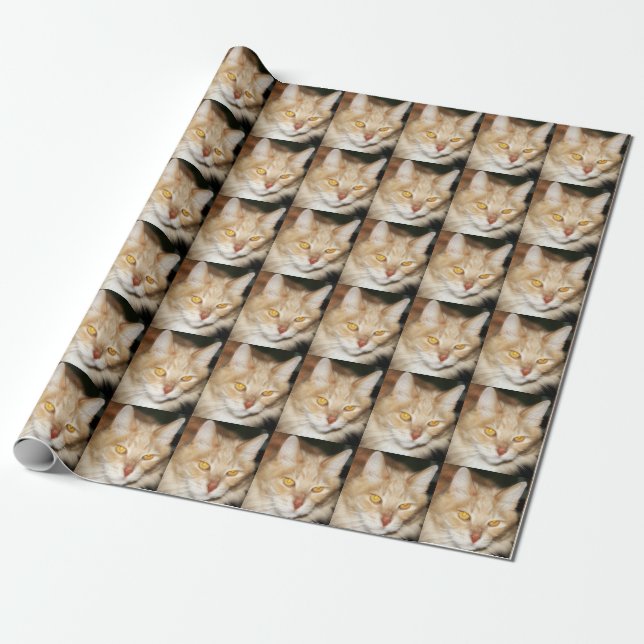 Papier Cadeau Chat de ragondin du Maine (Déroulé)