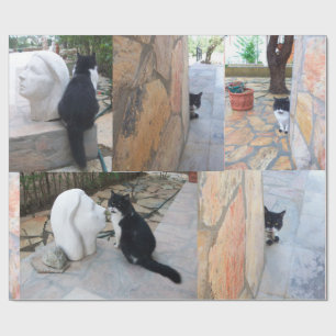 PAPIER CADEAU CHAT DÉTECTIF DERRIÈRE LE MUR DE PIERRE