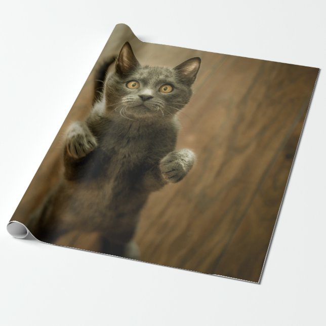 PAPIER CADEAU CHAT GRIS EN DEUX PIEDS (Déroulé)