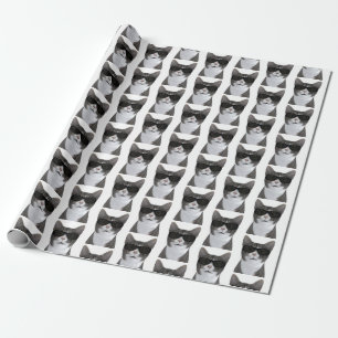 Papier Cadeau Chat le plus cool de la ville