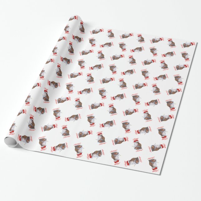 Papier cadeau chat persan calico (Déroulé)
