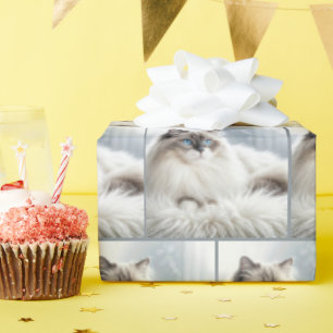 Papier Cadeau Chat Ragdoll sur un Tapis en Fourrure