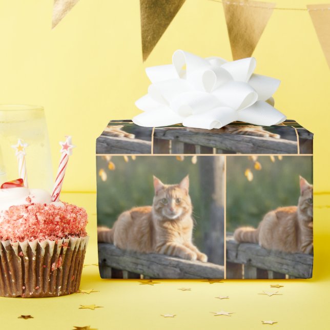 Papier Cadeau Chat roux sur une clôture rustique (Fête d'anniversaire)