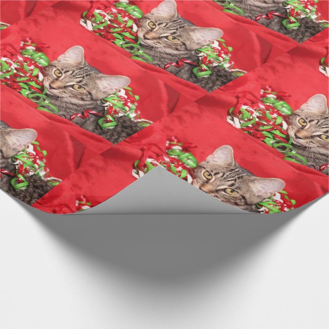 Papier Cadeau Chat tigré de minou de Noël (Coin)