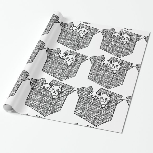 Papier Cadeau Chatons dans une boîte Thunder_Cove (Déroulé)