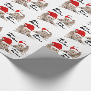 Papier Cadeau Chatons de Noël