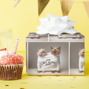 Papier Cadeau Chats frères portant une chemise