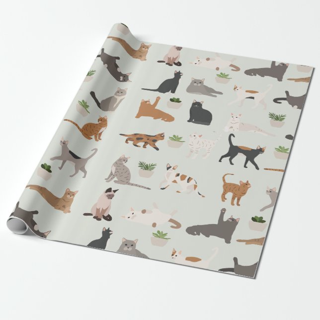 Papier Cadeau Chats mignons et plantes d'intérieur  (Déroulé)