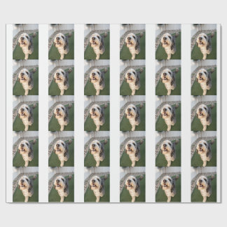 Papier Cadeau Chaussettes pour chiots