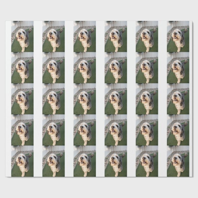 Papier Cadeau Chaussettes pour chiots (Plat)