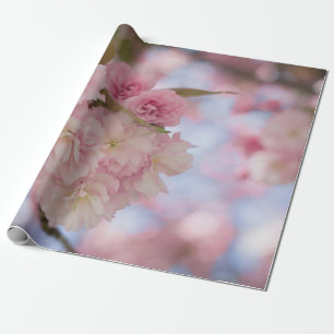 PAPIER CADEAU CHERRY ROSE BLOSSOM EN FERMETURE PHOTOGRAPHIE