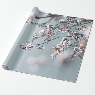 PAPIER CADEAU CHERRY ROSE BLOSSOM EN FERMETURE PHOTOGRAPHIE
