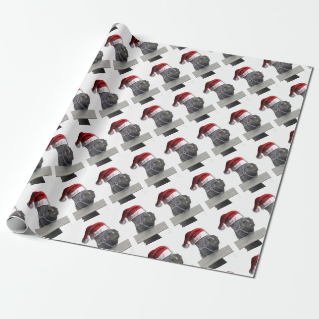 Papier Cadeau Cheval avec un chapeau de Père Noël (Déroulé)