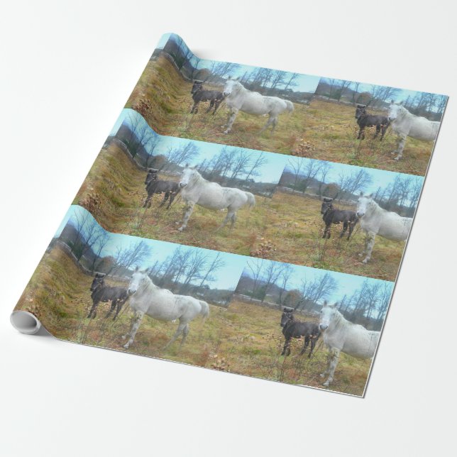 Papier Cadeau Cheval blanc Colt noir (Déroulé)