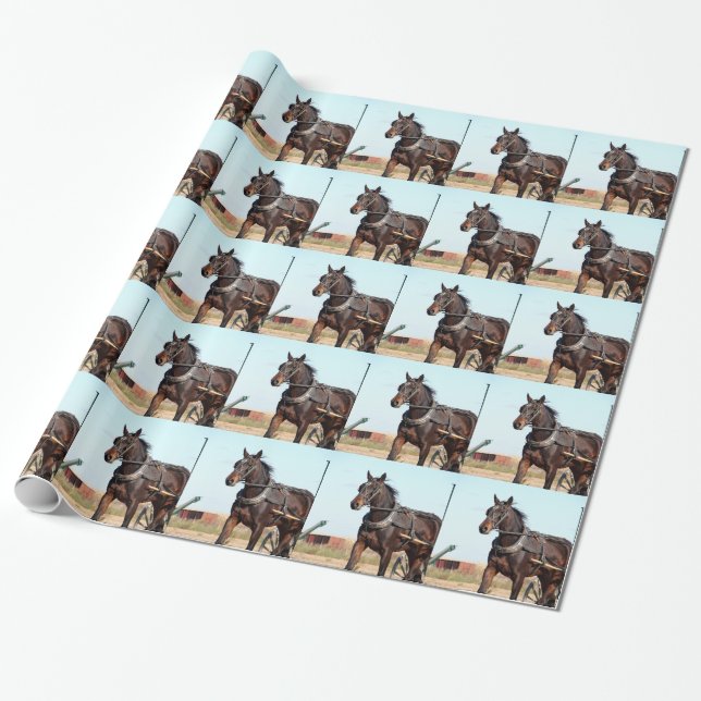 Papier Cadeau Cheval de l'Amish rural et buggy (Déroulé)