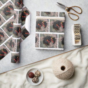 Papier Cadeau Cheval friésien Automne